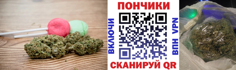 Cannafood конопля  Похвистнево 