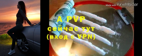 apvp Алзамай