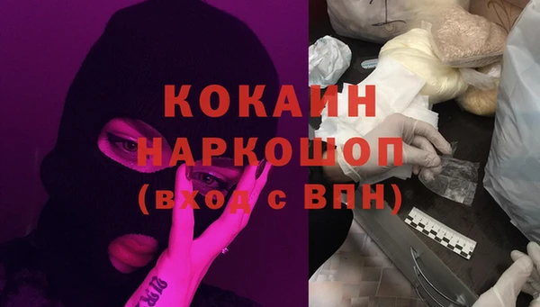 стаф Алексин