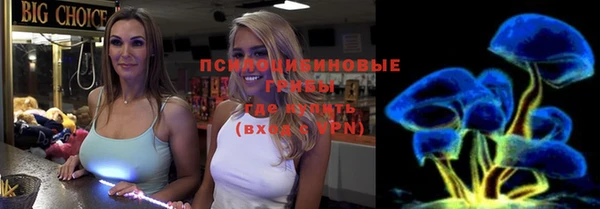 apvp Алзамай