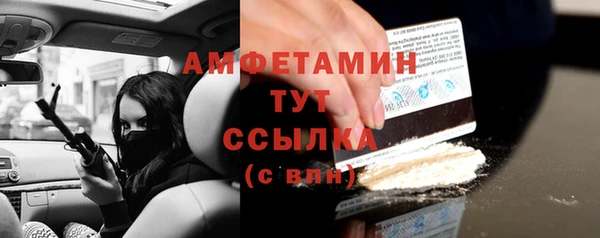 стаф Алексин
