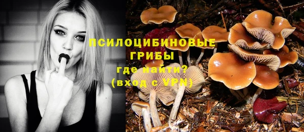 apvp Алзамай