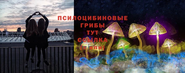 apvp Алзамай