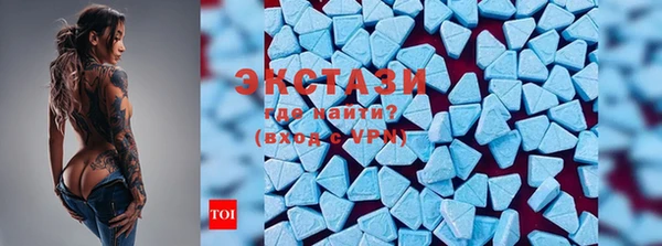 стаф Алексин