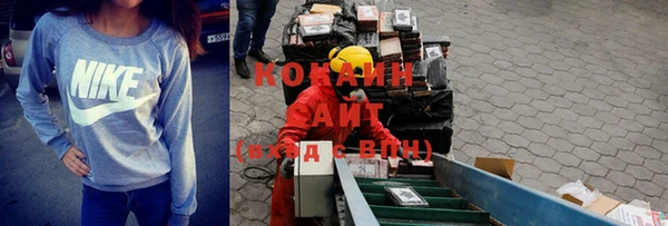 apvp Алзамай