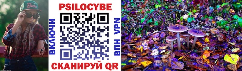 Галлюциногенные грибы Magic Shrooms mega tor Похвистнево